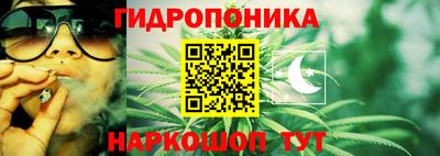 прущие грибы Гусев