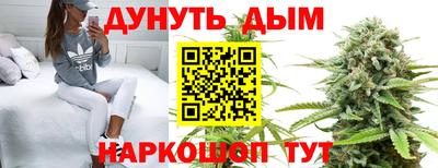 PSILOCYBIN Гусиноозёрск