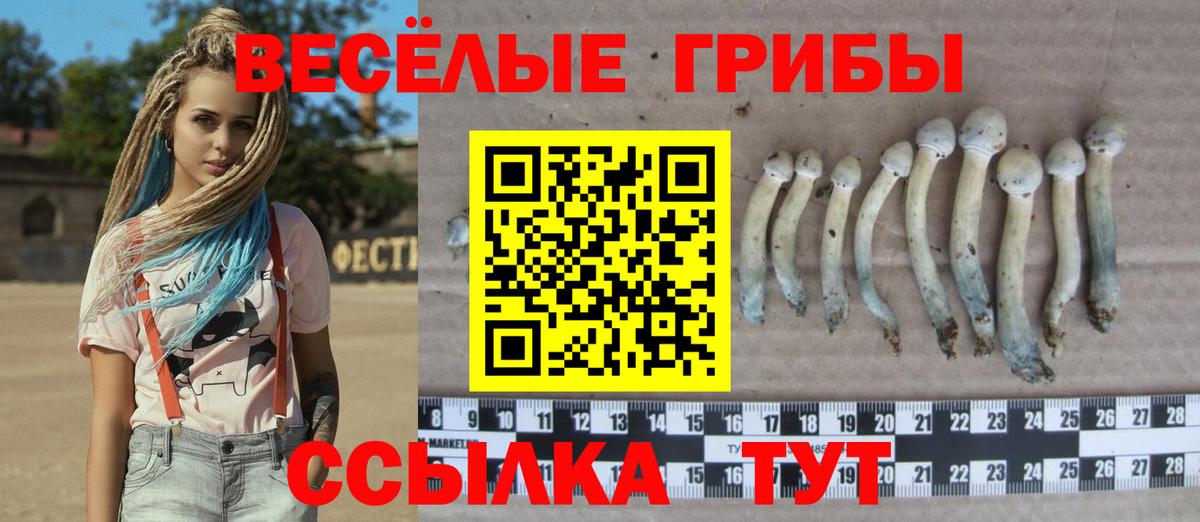 Галлюциногенные грибы GOLDEN TEACHER  Вход с VPN  Новоалтайск 